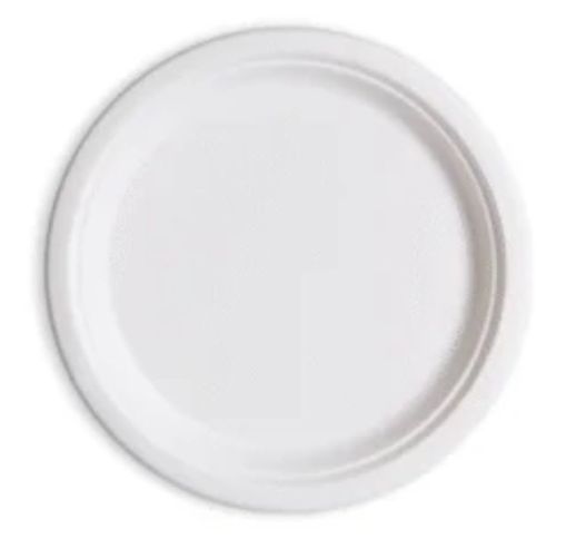 Lėkštės vienkartinės iš cukranendrių BIO 26 cm ( 50 vnt. )