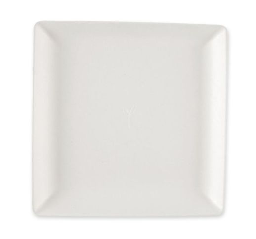 Lėkštės vienkartinės iš cukranendrių keturkampės 22 cm (50 vnt)