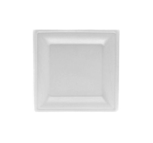 Lėkštės vienkartinės cukranendrių 16x16 cm BIO (50 vnt.)