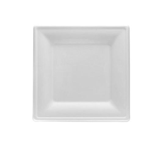 Lėkštės vienkartinės cukranendrių BIO 26x26 cm (50 vnt.)