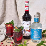 Monin RAUDONŲJŲ UOGŲ SU PRIESKONIAIS sirupas, 0,7 l