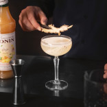 Monin IMBIERŲ koncentratas, 0,7 l