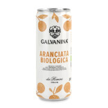 Gazuotas gėrimas apelsinų GALVANINA 330 ml