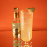 Gazuotas nealkoholinis gėrimas GINGER ALE 200 ml
