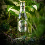 Gazuotas nealkoholinis gėrimas GINGER BEER 200 ml
