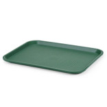 Padėklas plastikinis 30.5x41.5 cm, žalias