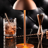 Lempa LED TONGA copper 26cm