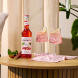 Monin RABARBARŲ sirupas, 0,25 l
