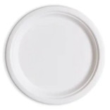 Lėkštės vienkartinės iš cukranendrių BIO 26 cm ( 50 vnt. )