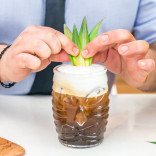 Monin PINA COLADA sirupas, 0,7 l