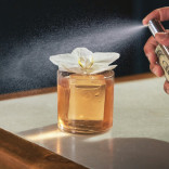 Monin CUKRAUS sirupas, 0,7 l