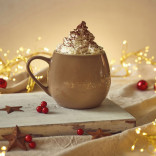 Monin ŽIEMOS PRIESKONIŲ sirupas, 0,7 l