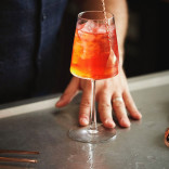 Monin CITRINŽOLĖS sirupas, 0,7 l