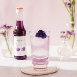 Monin NAŠLAIČIŲ sirupas, 0,7 l