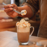 Monin ŠOKOLADINIŲ SAUSAINIŲ sirupas, 0,7 l