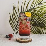 Monin MĖLYNIŲ sirupas, 0,7 l