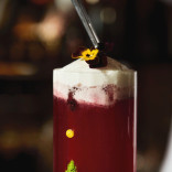 Monin MĖLYNIŲ sirupas, 0,7 l