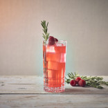 Monin AVIEČIŲ sirupas, 0,7 l