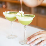 Monin ŽALIOJI ARBATA MATCHA sirupas, 0,7 l