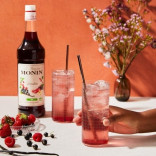 Monin GRENADINAS sirupas, 0,25 l