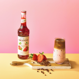 Monin BRAŠKIŲ sirupas, 0,25 l