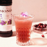 Monin NAŠLAIČIŲ sirupas, 0,25 l