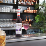 Monin NAŠLAIČIŲ sirupas, 0,25 l