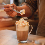 Monin ŠOKOLADINIŲ SAUSAINIŲ sirupas, 50 ml