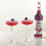 Monin BRAŠKIŲ sirupas, 50 ml