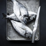 Peilis file, lankstus GLOBAL G-21 16 cm