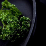 Keptuvė su plastikine rankena AMT 20/5 cm