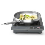 Indukcinė viryklė PROFI LINE 1800W