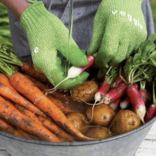 Pirštinės daržovių šveitimui, žalios ( 2 vnt. )