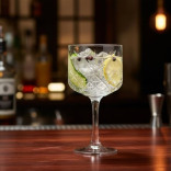 Taurė kokteiliui TIMELESS 500 ml