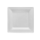 Lėkštės vienkartinės cukranendrių BIO 20x20 cm (50 vnt.)