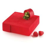 Forma lanksti 22,8x22,8 cm