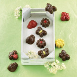 Forma lanksti SPRINGLIFE 24x11 cm